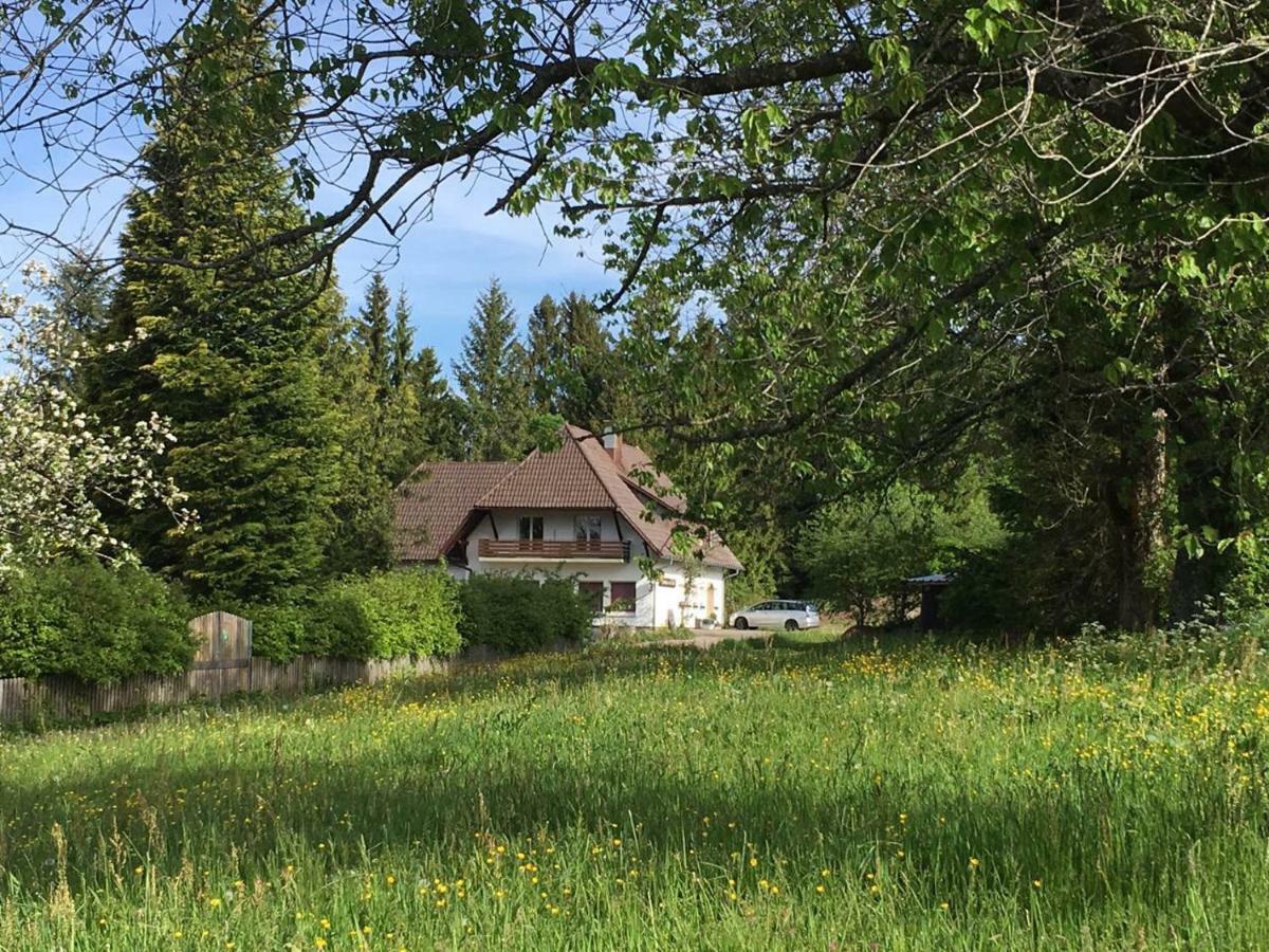 B & B Der Waldvogel Herrischried Εξωτερικό φωτογραφία
